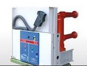 固封極柱式真空段斷路器有哪些類型？